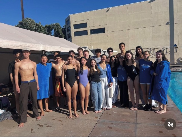 Boys Varsity Swim and Dive Gallery Images