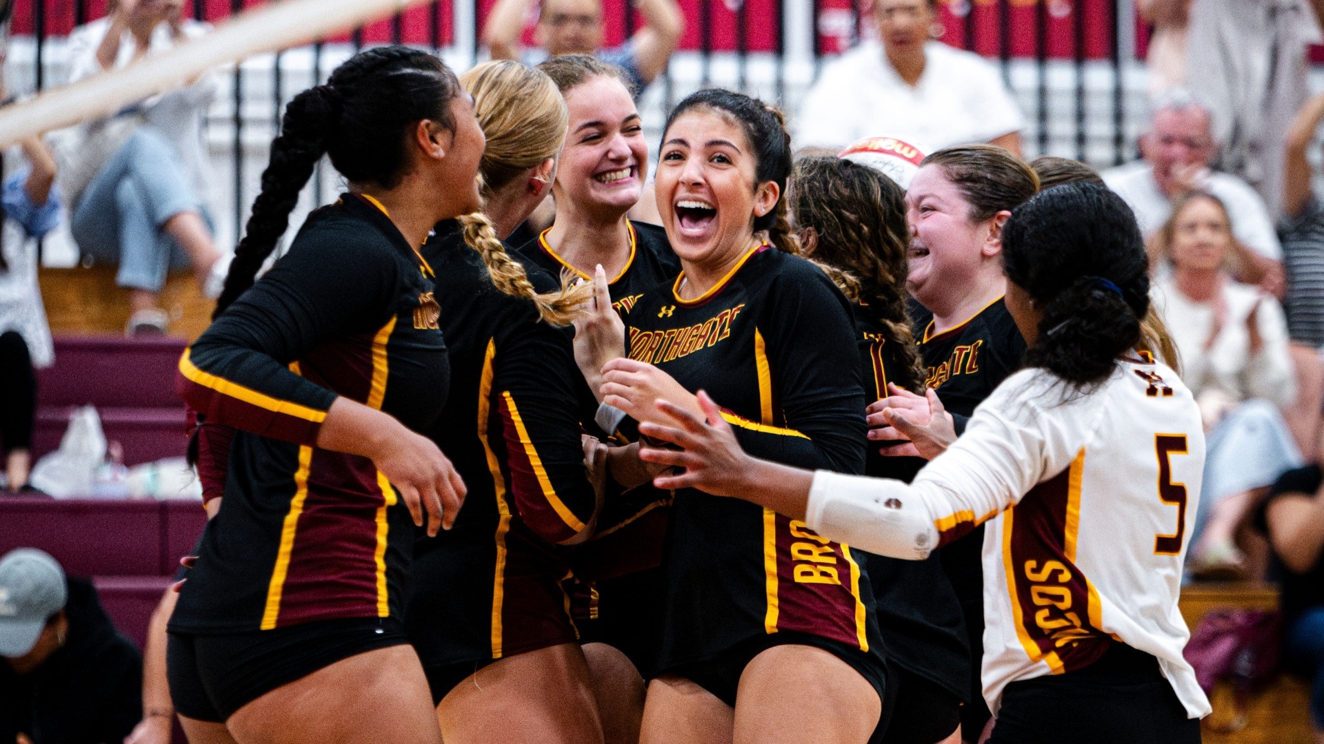 Slide 7 - @lintoddphoto