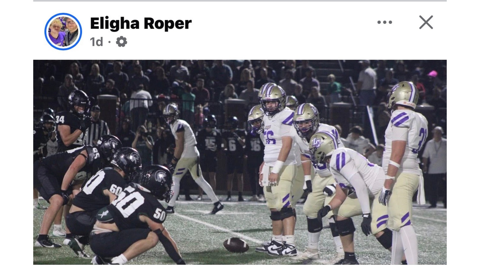 Slide 5 - Hogs in Action!