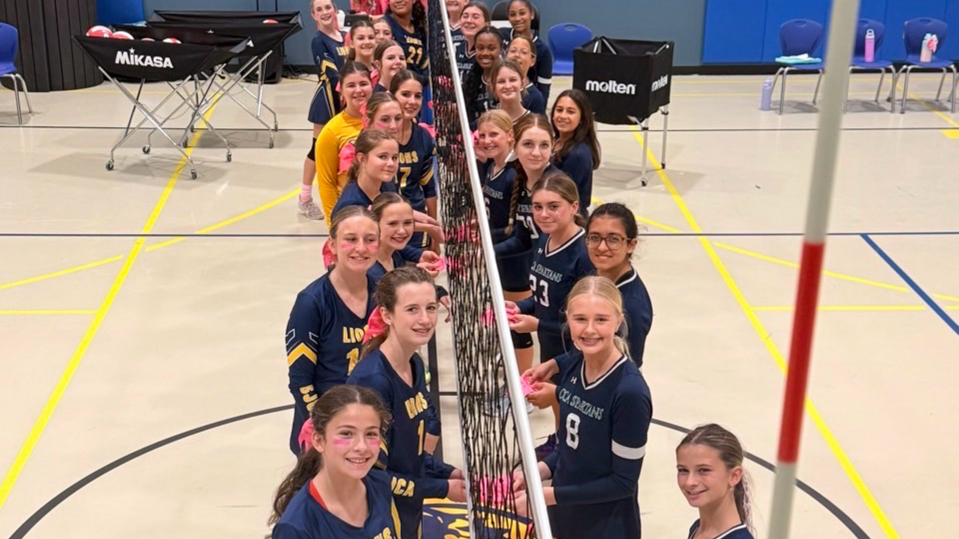 Slide 6 - Pink it out!