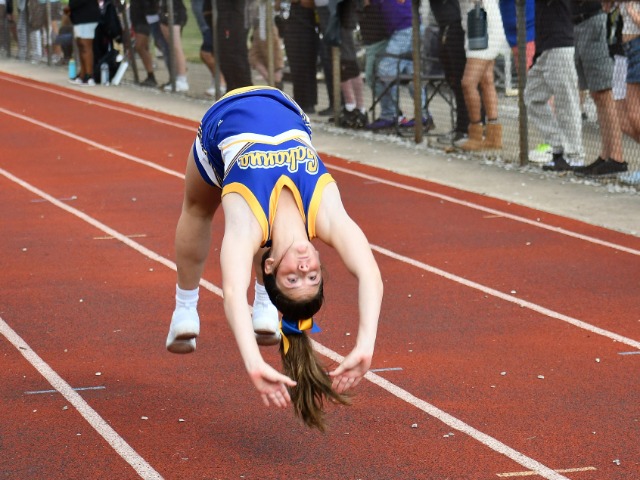 Coed Middle School Cheerleading Gallery Images