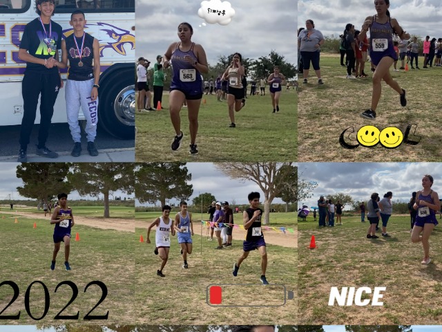 XC Runners in Action