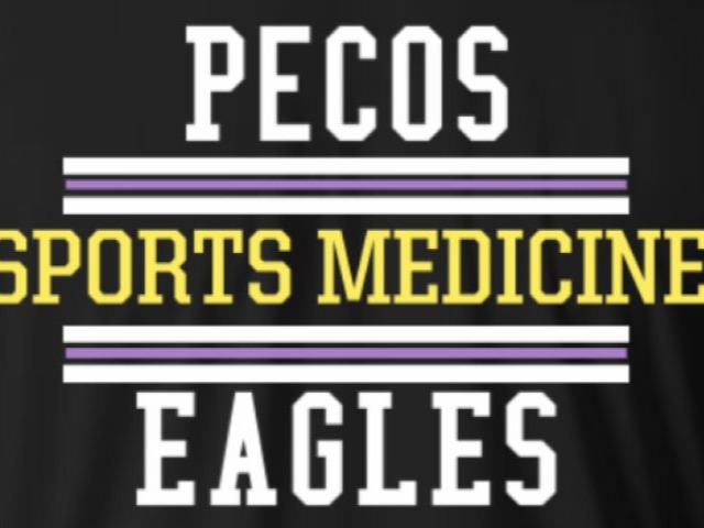 Coed All Levels Sports Medicine gallery