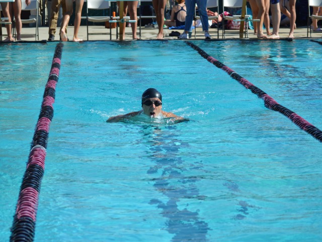 Boys Varsity Swim and Dive Gallery Images