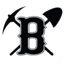 Bauxite logo 1