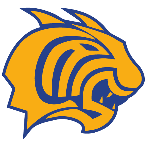 Girls Varsity Volleyball logo