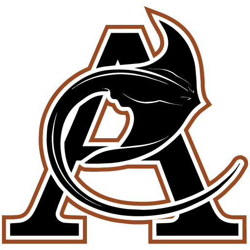 Boys Varsity Football logo