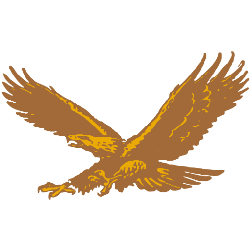Boys Freshman Football logo