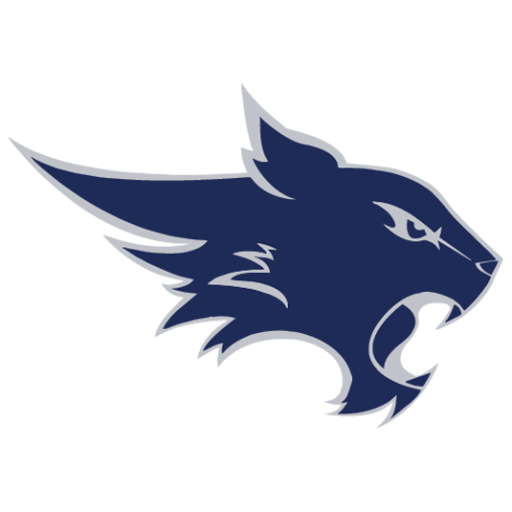 Logo for WSN Live