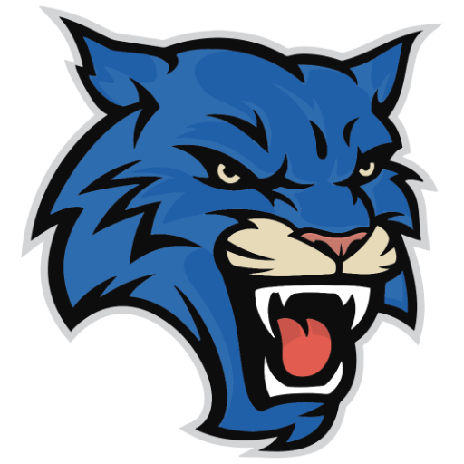 Boys Varsity Football logo
