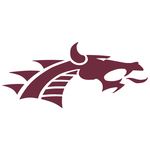 Womens Varsity Lacrosse logo