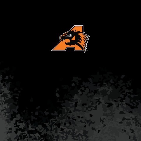 staff photo of Brandy Belk