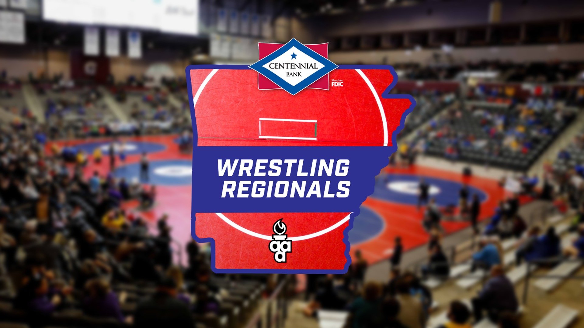 herd-pins-8-delta-league-wrestling-medals-aaa