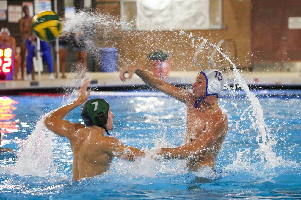 CCAL water polo gets underway with Bulldogs edging Pride News Story Image 
